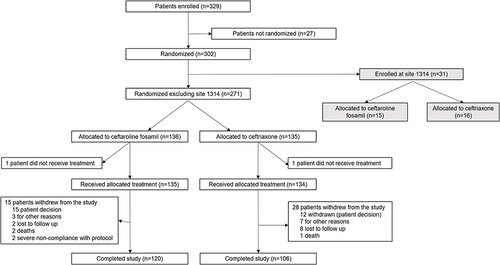 Figure 1 Patient disposition in the China subset.