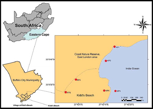 Figure 1. Map of Kidd’s beach