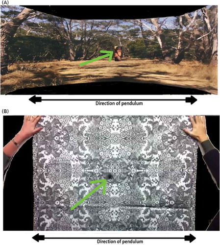 Figure 2. (A) Photograph of Pulfrich experimental test material at Moorfields Eye Hospital. A coloured jungle scene with a monkey (green arrow, still on this photograph) is shown. (B) Photograph of Pulfrich experiment at VU Medical Centre Amsterdam. A black and white tablecloth is shown with a swinging black ball (green arrow, in motion giving impression of a blur on this photograph).