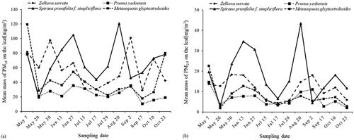 Figure 3. The mass of surface particulate matter (PM) per unit leaf area of four tree species. (a) PM10, with a diameter less than 10 µm, (b) PM2.5, with a diameter less than 2.5 µm.