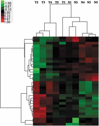 Figure 1. Heat map of the miRNA profiles in GC tissues versus paired normal gastric mucosa tissues.