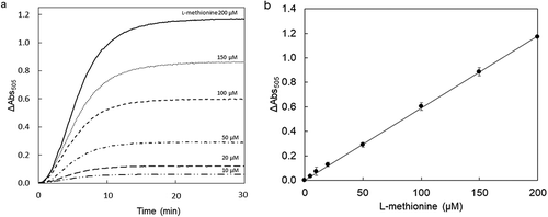 Figure 2. Calibration curve for l-methionine determination using MetDC.