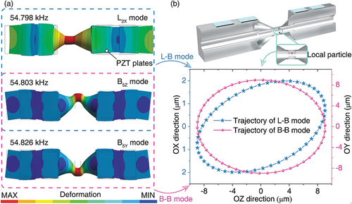 Figure 8. FEM results of the proposed two-DOF BT. (a) Three desired working modes. (b) The transient analysis results of motion trajectories of the driving surface (at steady state).