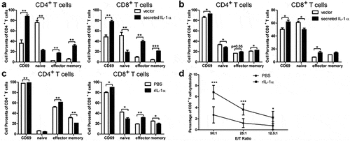 Figure 5. Secreted IL-1α promotes T cell activation in vitro.