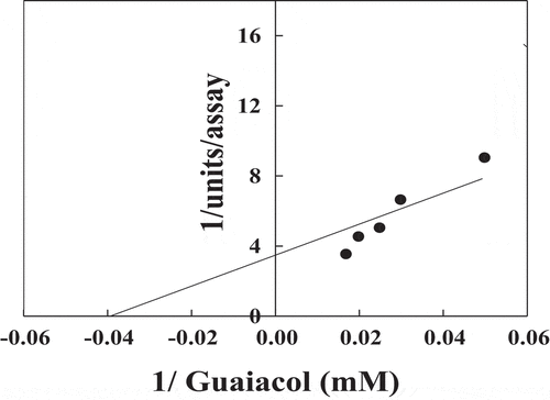 Figure 8. Reciprocal of Lineweaver–Burk plot relating date palm cv. Agwa POII reaction velocities to guaiacol