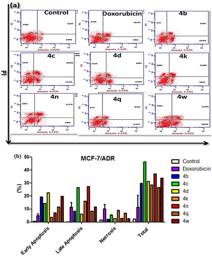 Figure 6. Apoptosis of MCF-7/ADR cells treated with compounds 4b–d, 4k, 4n, 4q, and 4w. (a) The dot plot of the Annexin V/PI stained cells, treated with the indicated drugs. (b) The apoptosis percentage of MCF-7/ADR cells after incubation with tested compounds (IC50 value) for 24 h. The data are expressed as the mean ± SD of three independent experiments in triplicate.