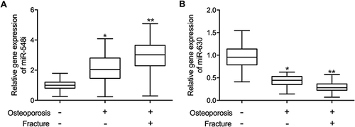 Figure 2 The expression of miR-548i and miR-630 in the peripheral blood of postmenopausal women (*p-value < 0.05 vs Osteoporosis (-) Fracture (-) group; **p-value < 0.0 vs Osteoporosis (+) Fracture (-) group). (A) Circulating expression of miR-548i was significantly elevated in the the Osteoporosis (+) Fracture (+) group. (B) Circulating expression of miR-630 was evidently reduced in the Osteoporosis (+) Fracture (+) group.