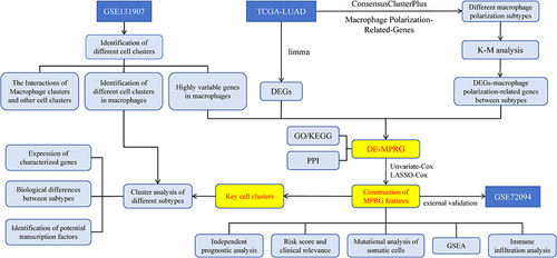Figure 1 The flow chart of the research. Abbreviations are defined as follows.