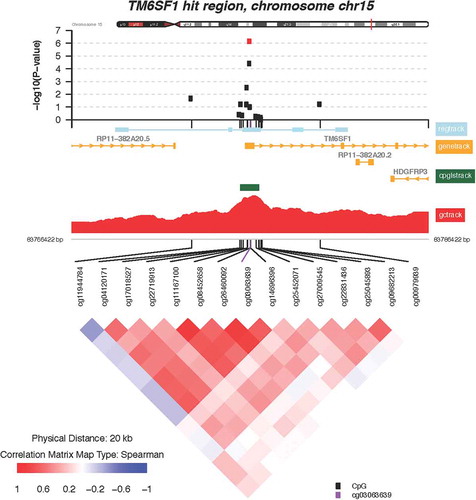 Figure 4. Zoomed-in plot featuring functional annotations for TM6SF1. Zoomed-in plot (top panel) shows the – log10 P values for the semi-continuous model within a 10 Kb neighbor of cg03063639/TM6SF1 on the genome. Functional annotations are derived from the ENCODE project and include regulatory, gene, CpG island, and GC content tracks. The lower panel shows pairwise correlations among the CpG sites selected. The plot was generated using the ‘CoMet’ packaged in R.