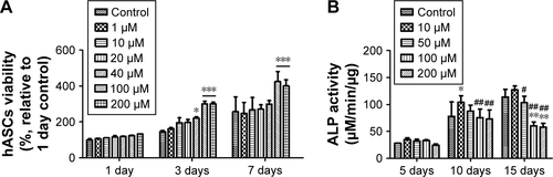 Figure S2 Evaluation of viability (A) and ALP activity (B) of hASCs at various concentrations of G-NAC. Results are mean ± SD of triplicate experiments: *P<0.05, **P<0.01, and ***P<0.001 represent significant differences compared with control group, and #P<0.05 and ##P<0.01 represent significant differences compared with 10 µM group.Abbreviations: G-NAC, gold nanoparticles-N-acetyl cysteine; hASCs, human-derived stem cells.