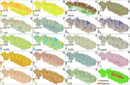 Figure 5. Maps of a selection of the variables included in this work, calculated in each SU, either as mean (average, AVG), standard deviation (S.D), percent, presence/absence. A, slopeAVG; B, slopeS.D; C, elevationAVG; D, elevationA.D; E, reliefAVG; F, reliefSTD; G, VRMAVG; H, VRMS.D; I, planar curvatureAVG; J, planar curvatureSTD; K, tangential curvatureAVG; L, tangential curvatureSTD; M, ‘ridge’percent; N, ‘slope’percent (landform); O, ‘spur’percent; P, ‘hollow’percent; Q, ‘valley’percent; R, cminAVG; S, SU area [km2]; T, landslide presence (after Roback et al. Citation2017). Additional variables included in the digital version of the map, published with this work, are described in Section 6.