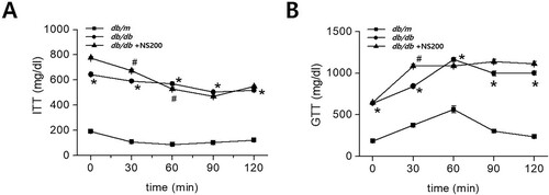 Figure 1. Diabetic db/db mice show significant differences in ITT and GTT compared to non-diabetic db/m mice (A, B). However, there are no changes in ITT and GTT between vehicle-injected db/db mice and NS200-treated db/db mice (A, B). Values are expressed as mean ± SEM. *p < 0.05 db/m mice with vehicle vs db/db mice with vehicle, #p < 0.05 db/db mice with vehicle vs db/db mice with NS200