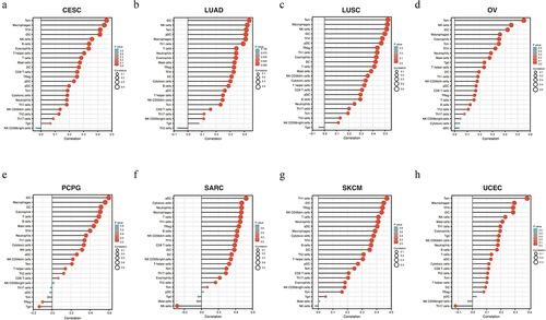 Figure 5. VASH1 was associated with immune cell infiltration in numerous kinds of tumors, including CESC (a), LUAD (b), LUSC (c), OV (d), PCPG (e), SARC (f), SKCM (g), and UCEC (h). CESC, cervical squamous cell carcinoma and endocervical adenocarcinoma; LUAD, lung adenocarcinoma; LUSC, lung squamous cell carcinoma; OV, ovarian serous cystadenocarcinoma; PCPG, pheochromocytoma and paraganglioma; SARC, sarcoma; SKCM, skin cutaneous melanoma; UCEC, uterine corpus endometrial carcinoma.