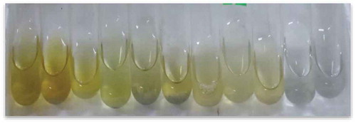 Figure 4. Qualitative test of ammonia according to color strength (left to right).