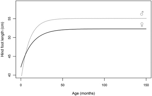 Figure 3. Graphical representation of von Bertalanffy equations (5) fitted to hind foot length data collected on red deer males and females during the hunting seasons.