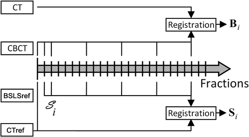 Figure 2. Data acquisition pattern for a treatment of 25 fractions. The BSLS set-up scan Display full size was captured at fraction 2 and 3 and then once a week. The Display full size data set was rigidly registered to the BSLS reference data set scanned by the BSLS system for the first fraction (BSLSref) to derive the set-up displacements Display full size. Additionally, Display full size was rigidly registered to an alternative BSLS reference surface created from the patient outline contour extracted from the treatment planning system (CTref). The CBCT images were acquired the first 3 fractions and then once a week concurrent to the Si. The bony structures in the CBCT images were registered to the corresponding structures in the planning CT images to derive the set-up displacements Bi.