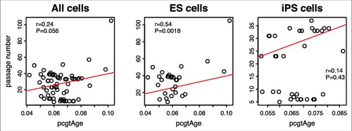 Figure 7. Passage number vs. pcgtAge for ES and iPS cells. The plot shows the correlation between pcgAge of cell cultures and their passage numbers. With 31 human embryonic stem (ES) cells, the correlation is r = 0.54 (P = 0.0018). With 35 human induced pluripotent stem (iPS) cells, the correlation is r = 0.14 (P = 0.43). With ES and iPS cells combined, the correlation is r = 0.24 (P = 0.056).