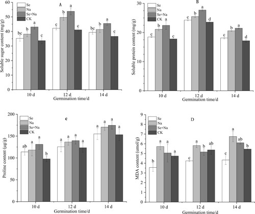 Figure 3. Soluble sugar, soluble protein, proline and malondialdehyde (MDA) contents in the leaves of sorghum seedlings. Abbreviations are defined in Figure 1 caption. Error bars represent standard deviation of the mean (n = 3). Different letters above error bars indicate significant differences among the treatments at the 0.05 level.