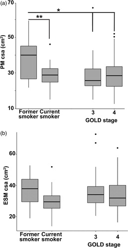 Figure 2. Muscle area in COPD patients and smoking controls. (A) Distribution of pectoralis muscle area (in cm2) stratified by GOLD stage compared to current and former smoking controls. †<p < 0.01, ‡p < 0.05 for Tukey’s test for intergroup differences. (B) Distribution of erector spinae muscle area (in cm2) stratified by GOLD stage compared to current and former smoking controls. Tukey’s test did not show significant intergroup differences.