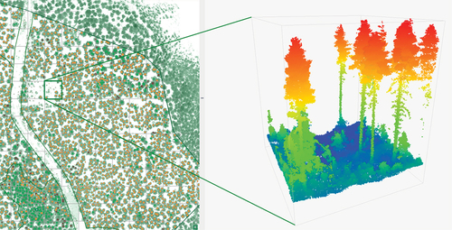 Figure 6. 3D point cloud visualized in web-based User Interface (courtesy of PreFor Oy).