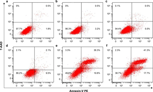 Figure S3 Flow cytometry analysis of apoptosis in LS180 cells. (a) Control group; (b) GNP-PEG group; (c) GNP-PEG-R8 group; (d) IR group; (e) IR 6 Gy + GNP-PEG group; (f) IR 6 Gy + GNP-PEG-R8 group.Abbreviations: GNP, gold nanoparticle; PEG, poly(ethylene glycol); R8, octaarginine; IR, irradiation; 7-AAD, aminoactinomycin D; PE, phycoerythrin.