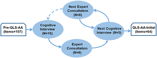 Figure 1 Schematic diagram of the iterative strategy of cognitive interview and expert consultation.