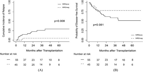 Figure 1. The probability of (A) CIR and (B) DFS according to MRD status at transplantation. MRD: measurable residual disease.