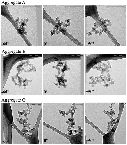 Figure 1. Two-dimensional images of three soot aggregates at three different inclination angles. Top: aggregate A; middle: aggregate F; bottom: aggregate G.