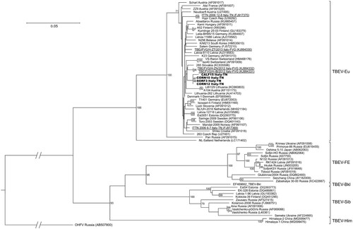 Figure 4. Phylogenetic tree of the partial E gene sequences generated in this study together with 67 TBEV strains retrieved from GenBank. Sequences obtained in this study are shown in bold, while those identified in the Province of Trento in 2006 (Italy-TN) and in Friuli Venezia Giulia in 2013 (Italy-FVG) are underlined. Only bootstrap values exceeding 70% are shown. The scale bar indicates 0.05 nucleotide substitutions per site.