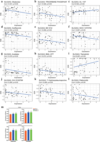 Figure 8. Scatter plot of the relationship between SLC2A3 expression and drug sensitivity. SLC2A3 expression was (a, b, d-h, j-l) negatively or (c, i) positively correlated with the IC50 of drugs approved by the FDA. (M) Effect of obatoclax and triciribine on cell viability upon SLC2A3 knockdown. *P < 0.05.