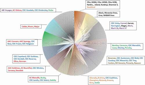 Fig. 3. Phylogenetic tree constructed by neighbor-joining (NJ) method based on single-nucleotide polymorphism (SNP) genetic markers (25 K) displaying selected cultivars and germplasm from the various institutions (Agriculture and Agri-Food Canada, Brandon Research and Development Centre [red]; Crop Development Centre [blue]; Field Crop Development Centre [green]; D = Busch Agricultural Resources, Inc. [purple]; WestBred LLC/ Highland Specialty Grains [Orange]; North Dakota State University [brown].