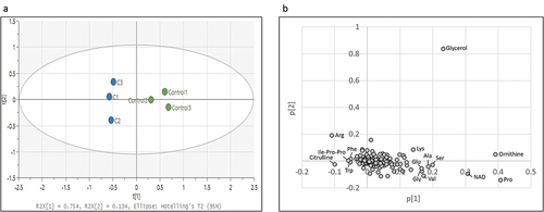 Figure 1. Principal component analysis of metabolites detected in P. gingivalis. (a) PC1 and PC2 score plots of results of principal component analysis for the control (green: Control 1 ~ 3) and curcumin-treated (blue: C1 ~ 3) groups. (b) Factor loading for each metabolite contributing to PC1 and PC2.