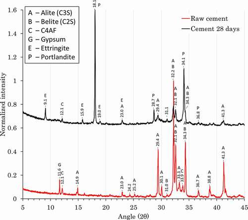 Figure 1. X-ray diffractogram of ordinary Portland clinker and of the cement after 28 days of hydration.