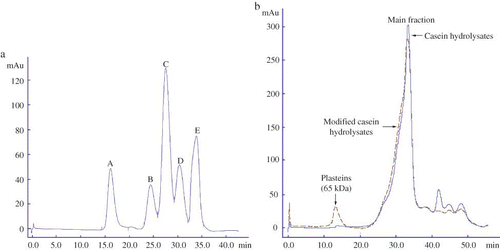 Figure 5 Analysis of the standards (a) casein hydrolysates and the modified hydrolysates (b) in AKTA Explorer 100 with Superdex-75 column. The analysis was carried out at a flow rate of 0.5 mL/min with 0.1 mol/L Na2HPO4 and NaOH buffer (pH 12) and monitored at 280 nm. The standards were bovine serum albumin (66.2 kDa), cytochrome c (12.4 kDa), insulin (5.7 kDa), oxidized L-glutathione (0.6 kDa), and L-tyrosine (0.2 kDa), and appeared as peak A to E in (a), respectively. Casein hydrolysates were prepared by hydrolyzing casein under casein concentration 10% (w/v), original pH 8.5, reaction temperature 55°C, E/S ratio 1 kU/g proteins, and reaction time 6 h to a DH of 13.5%. The modified hydrolysates were prepared from casein hydrolysates by Nutrase-catalyzed plastein reaction at an original pH of 6.8, substrate concentration of 40% (by weight), Neutrase addition level of 3 kU/g peptides, reaction temperature of 35°C, and reaction time of 6 h. (Color figure available online.)