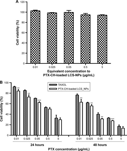 Figure 7 (A) Cytotoxicity of blank LCS_NPs for 4T1 cells (n=4, mean ± SD). (B) Inhibitory capacity of PTX-CH-loaded LCS_NPs against cell proliferation after incubation of 24 or 48 hours compared with PTX (n=4, mean ± SD). **P<0.01 vs PTX, ***P<0.001 vs PTX.Abbreviations: PTX, paclitaxel; PTX-CH-loaded LCS_NPs, paclitaxel–cholesterol complex-loaded lecithin–chitosan nanoparticles.