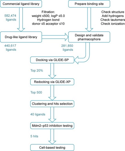 Figure 3 The drug design approach employed in this study to discover new Mdm2–p53 inhibitors.