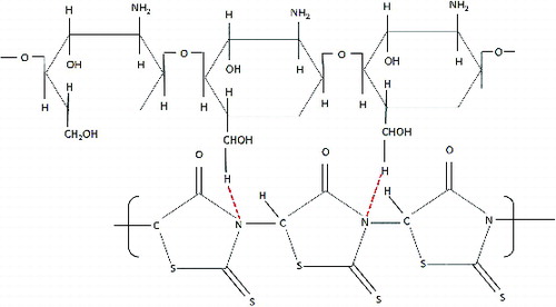 Figure 2. The proposed structure of CS/PRh nanocomposite.