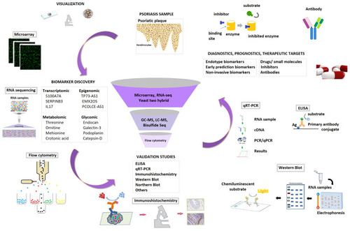Figure 1 The workflow of biomarker discovery.