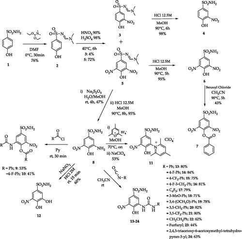 Scheme 1. Synthetic routes to 3-nitrobenzenesulfonamides 3–24Citation21.