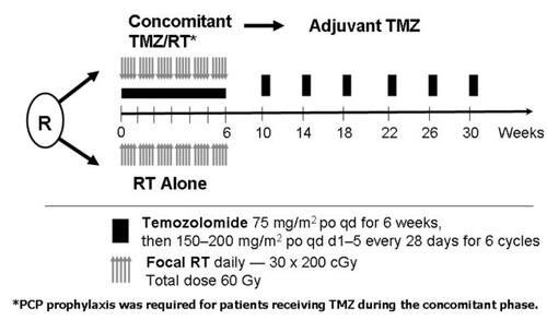 Figure 1 Schema for the phase III randomized trial.