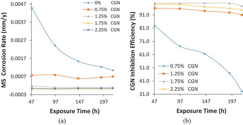 Figure 5. Graphical plot of (a) MS corrosion rate versus exposure time and (b) CGN inhibition efficiency versus exposure time