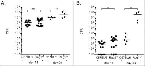 Figure 1. C. neoformans fungal burdens in lungs and brains of Rag1−/− and C57Bl/6 (wild type) mice. Fungal burdens, depicted as CFU on the Y axis, in the lungs (A) and brains (B) of Rag1−/− and wild-type mice on the days after infection indicated on the X axis. Each symbol represents one mouse; (A-B) show combined results from 3 separate experiments. Bars represent medians. #p < 0.05, Mann-Whitney test; ns – not significant
