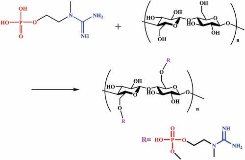 Figure 1. Possible reaction between COP and fabric.