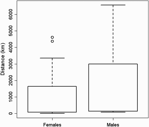 Figure 2. Migratory distances of male (n = 13) and female (n = 30) Eurasian Marsh Harriers. The bottom and top of boxes show the 25 and 75 percentiles, respectively. The horizontal line joined to the box by the dashed line shows the maximum and the minimum range of the data. Points are outliers.