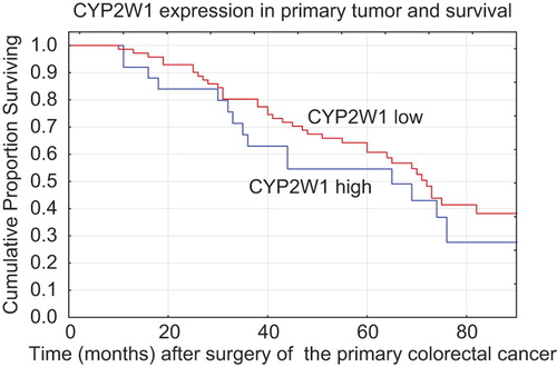 Figure 1. Survival in months after primary surgery in the group with low (group 1) versus high (group 2) expression of CYP2W1. HR 1.3, p = 0.38, 95% CI 0.72–2.38.