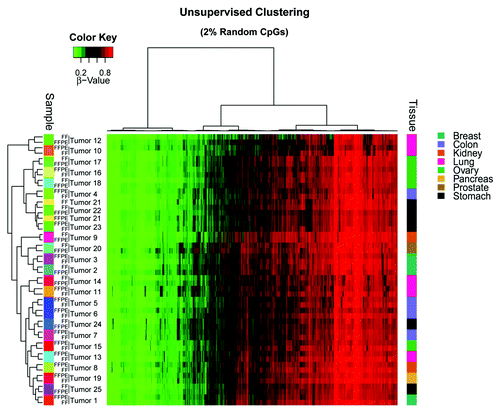 Figure 2. Unsupervised hierarchical clustering of a randomly selected 2% of CpGs from the array.