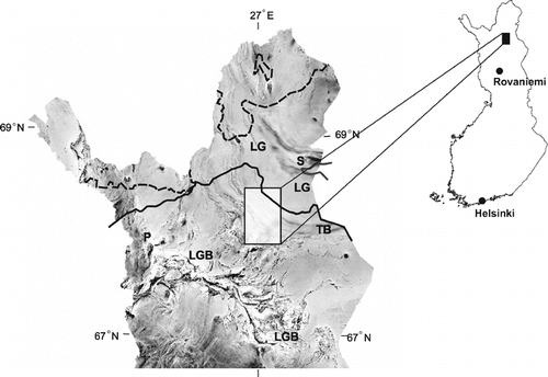 FIGURE 1. Airborne magnetic total intensity map of northern Finland. The study area is shown by a black rectangle. Norway spruce timberline (solid lines) (taken from CitationSihvo, 2002) is based on 30% crown coverage. Pine timberline (dashed lines) (adopted from CitationJuntunen et al., 2002) is based on the same crown coverage. LG = Lapland Granulite Belt, TB = Tanaelv Belt (CitationMarker, 1985), LGB = Lapland Greenstone Belt, S = Sarmitunturi, P = Pallastunturi