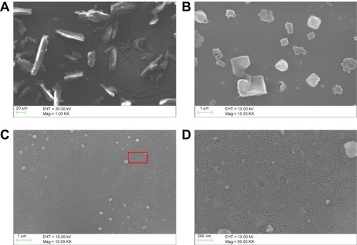 Figure 3 Characterization of raw AMT · HCl and nano-AMT · HCl.Notes: Scanning electron microscopic images of (A) raw AMT · HCl; (B) raw AMT · HCl after ultrasonic wave dispersion for 30 minutes; (C) nano-AMT · HCl after ultrasonic wave dispersion for 30 minutes; and (D) magnification of the red flag area of (C).Abbreviation: AMT · HCl, amitriptyline hydrochloride; EHT, extra-high tension; Mag, magnification.