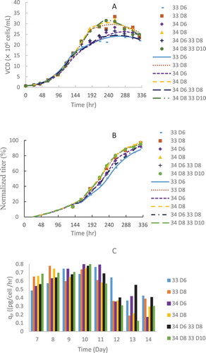 Figure 2. CHO1 model validation for VCD (A), titer (B) and specific productivity (C) in fed-batch production 250-mL shake flasks with TS from 36.5 to 33 or 34 °C on different days using a typical initial VCD of 0.6 × 10Citation6 cells/mL for a 14-day full duration. The dots denote the experimental data with the average of duplicate runs (n = 2) and the lines represent the computing results using the kinetic models from the 8-day short-duration study.