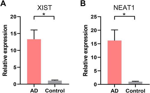 Figure 13 RT-qPCR validation of the core lncRNAs of the ceRNA network. (A) The relative expression of XIST between AD and healthy control. (B) The relative expression of NEAT1 between AD and healthy control. *p<0.05.